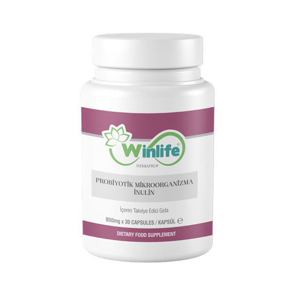 Probiotic Microorganism Inulin